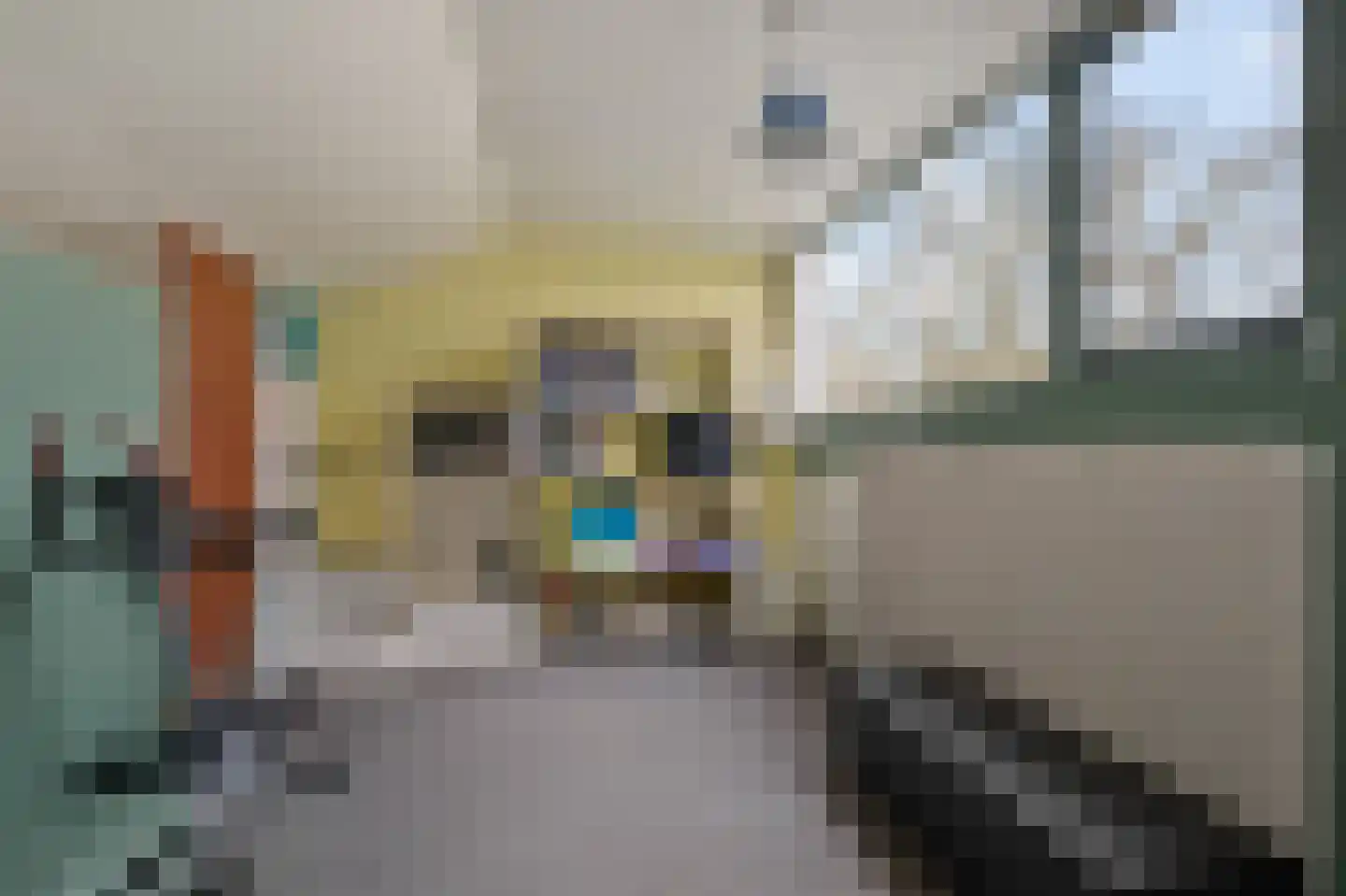 Tollensstraat 16 Oss thumbnail 28