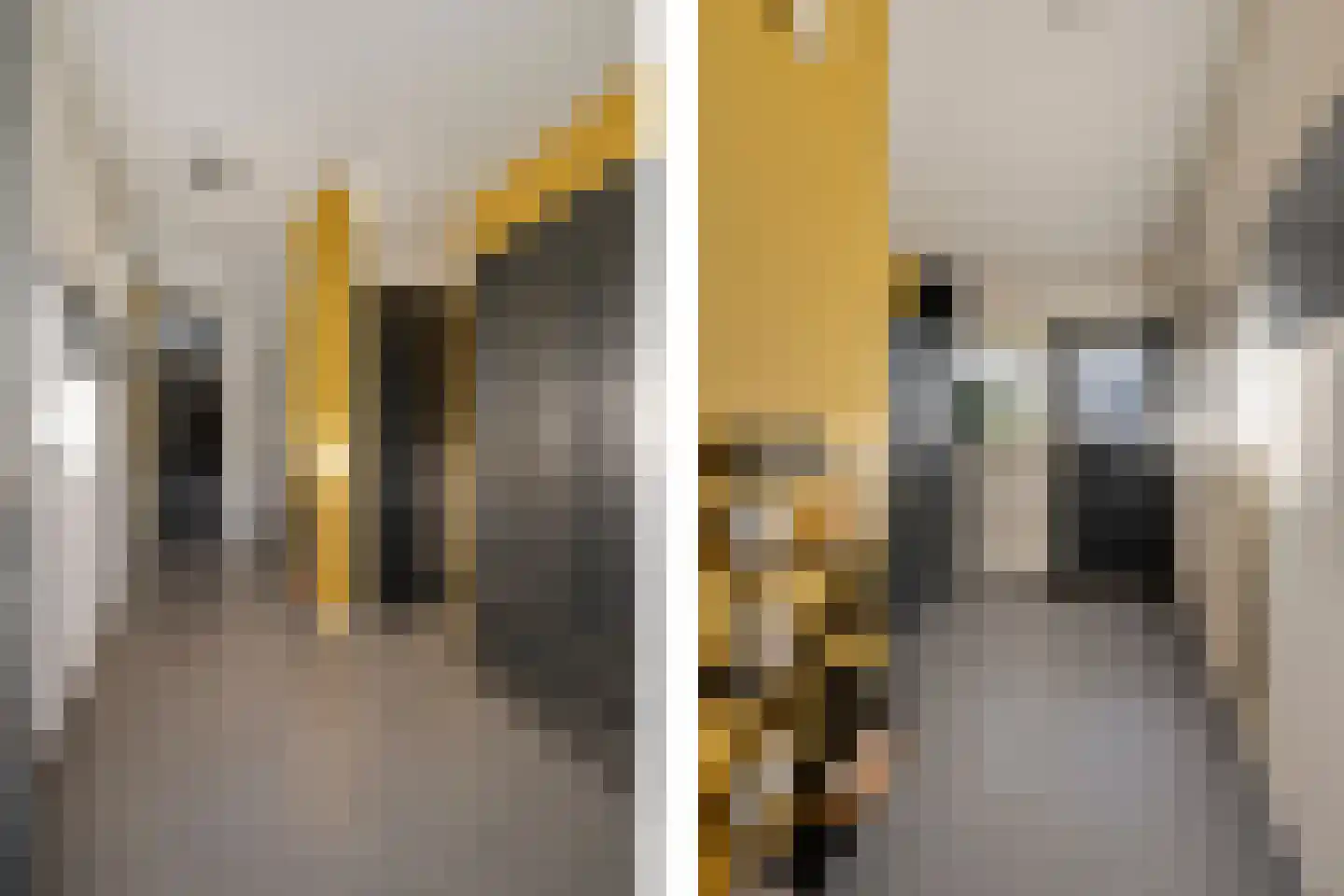 Tollensstraat 16 Oss thumbnail 7