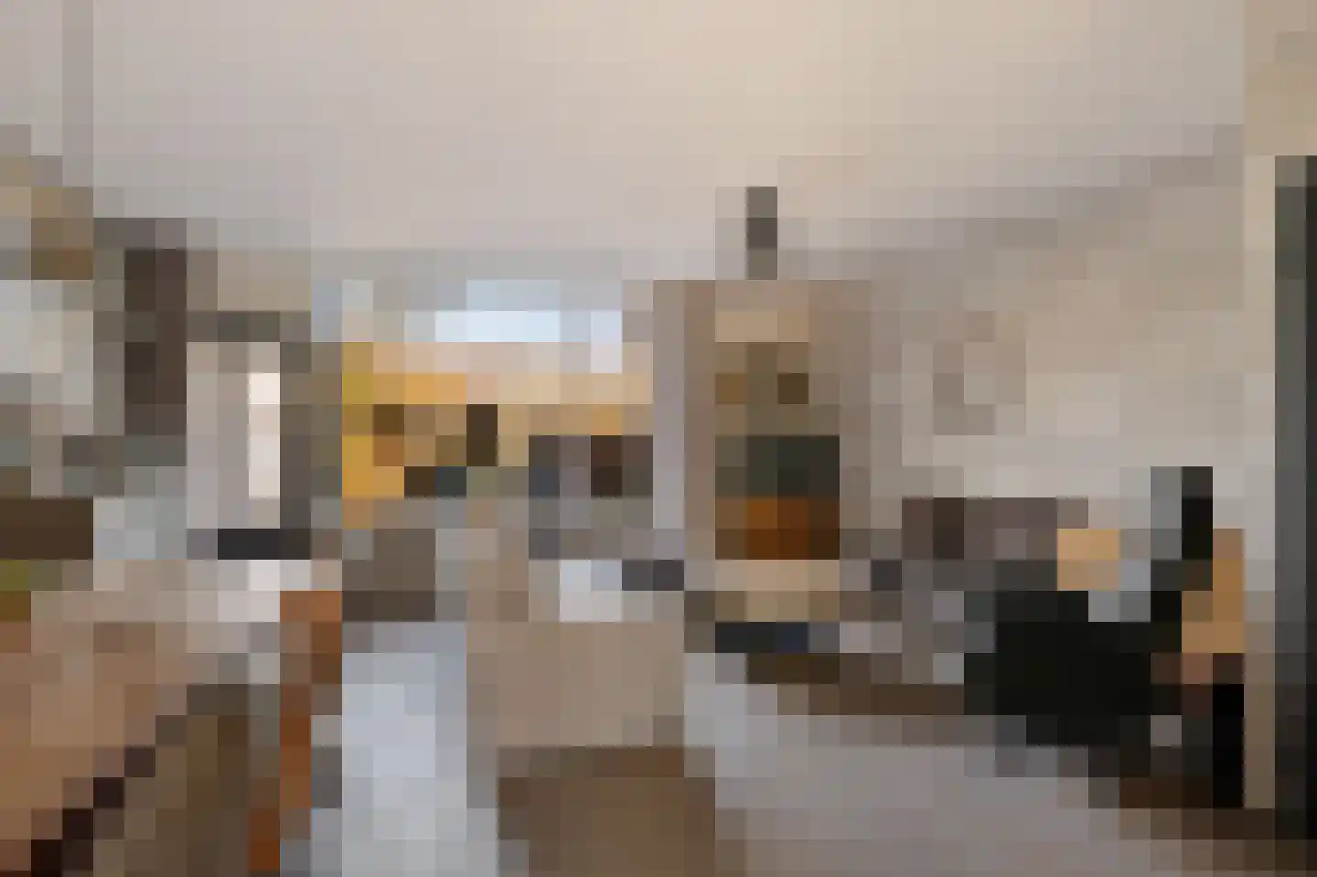Tollensstraat 16 Oss thumbnail 9