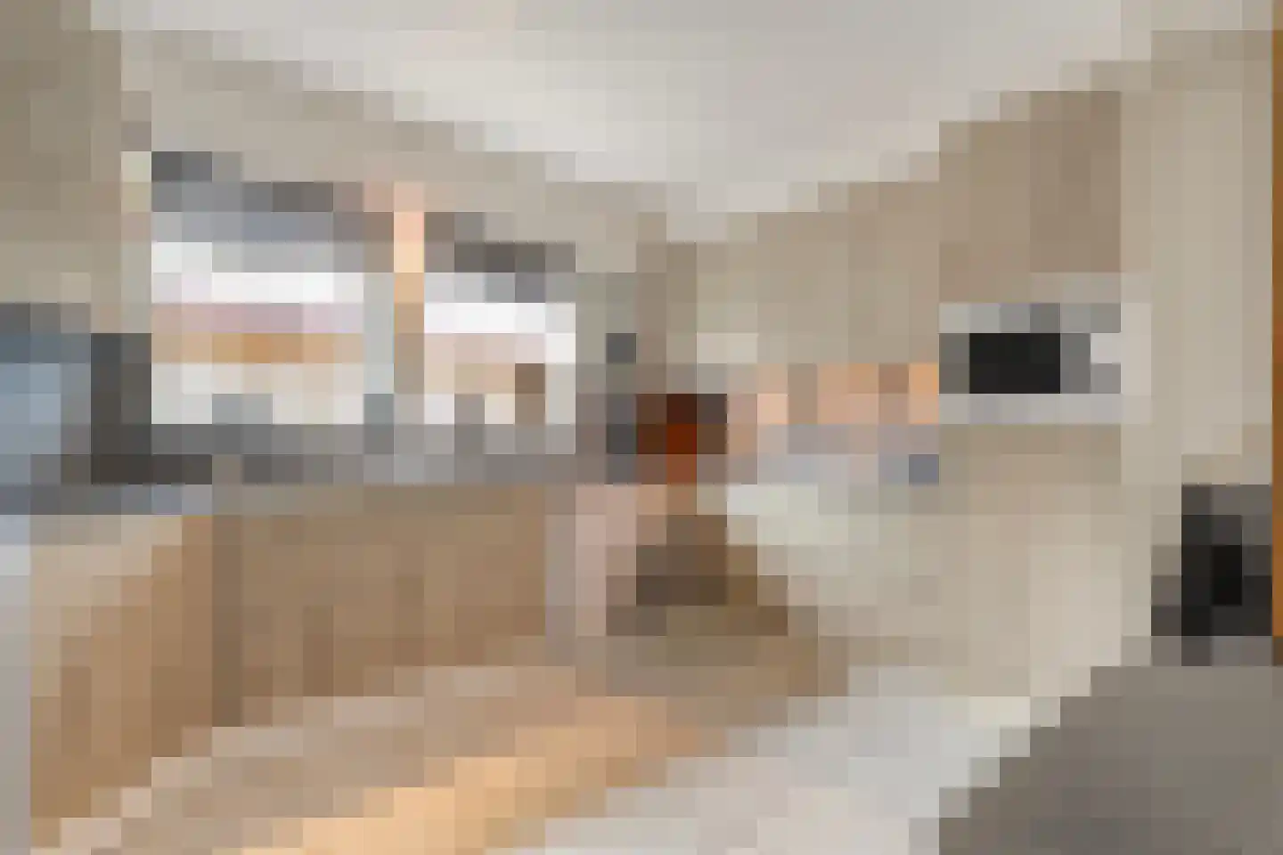 Tollensstraat 2 Nijverdal thumbnail 14