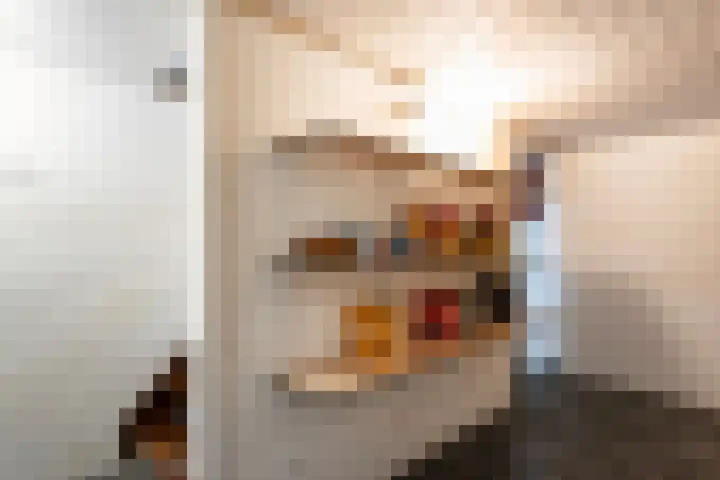 Tollensstraat 2 Nijverdal thumbnail 33