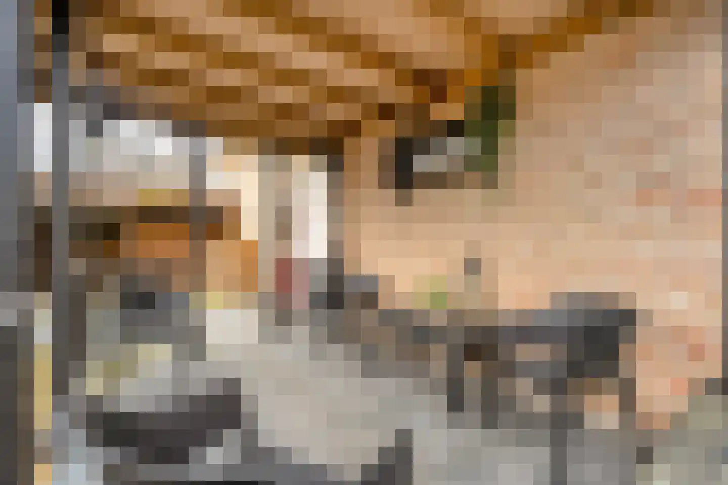 Tollensstraat 2 Nijverdal thumbnail 36
