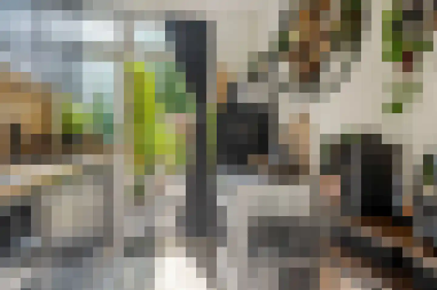 Tollensstraat 20 Zoetermeer thumbnail 12
