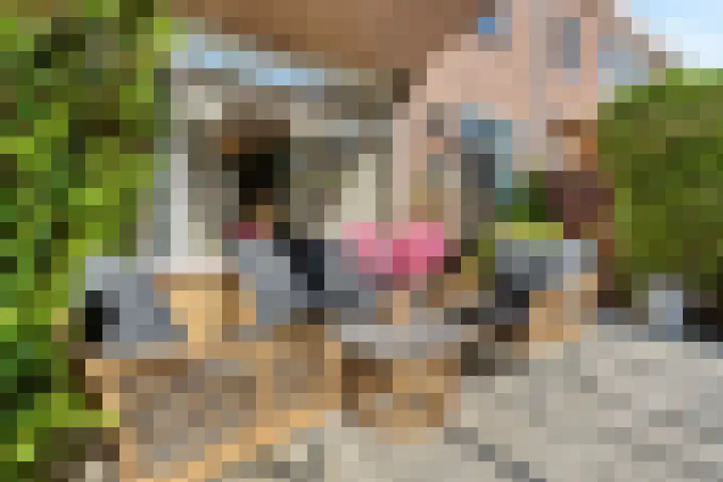 Tollensstraat 20 Zoetermeer thumbnail 15