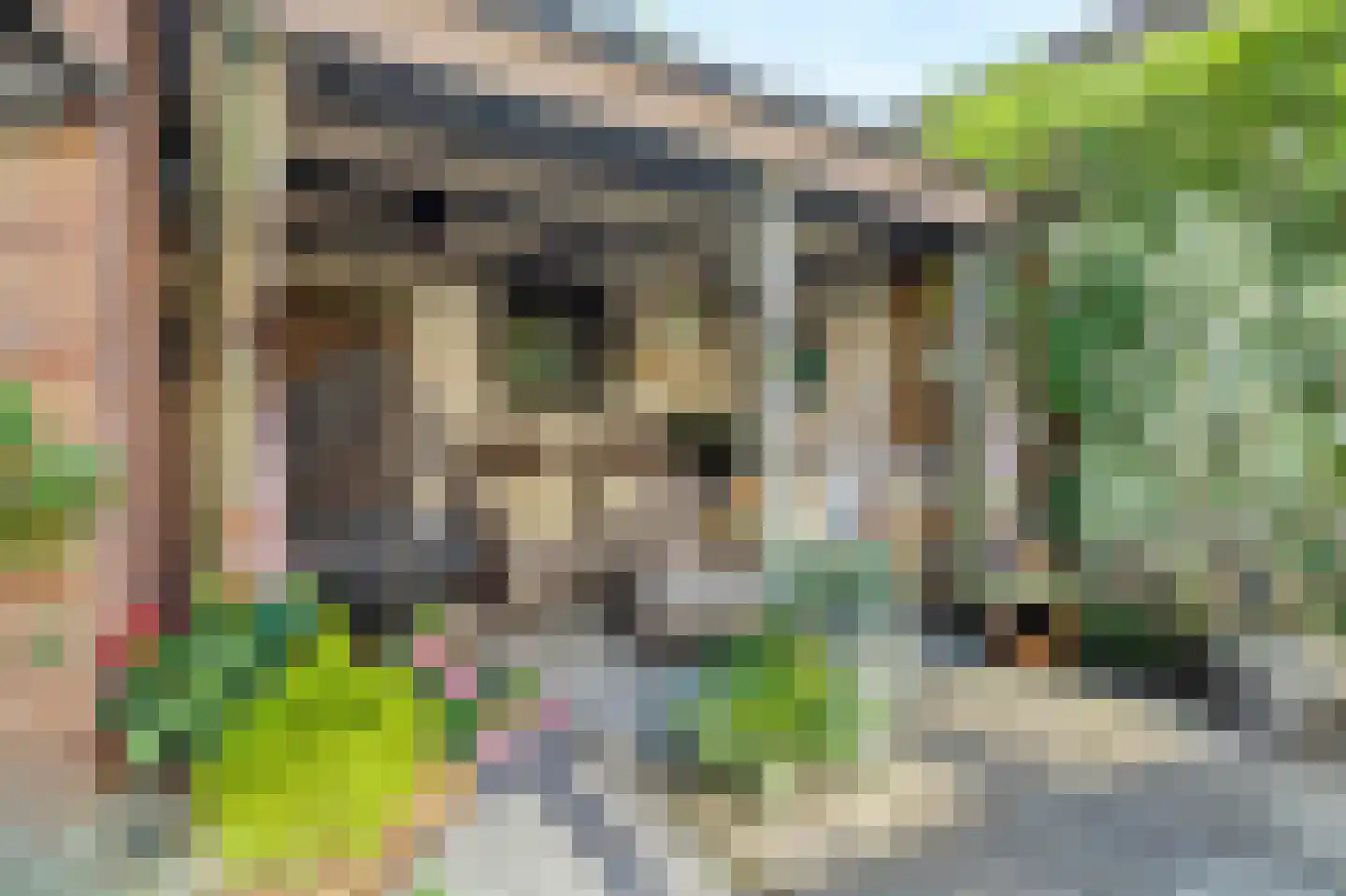 Tollensstraat 20 Zoetermeer thumbnail 17