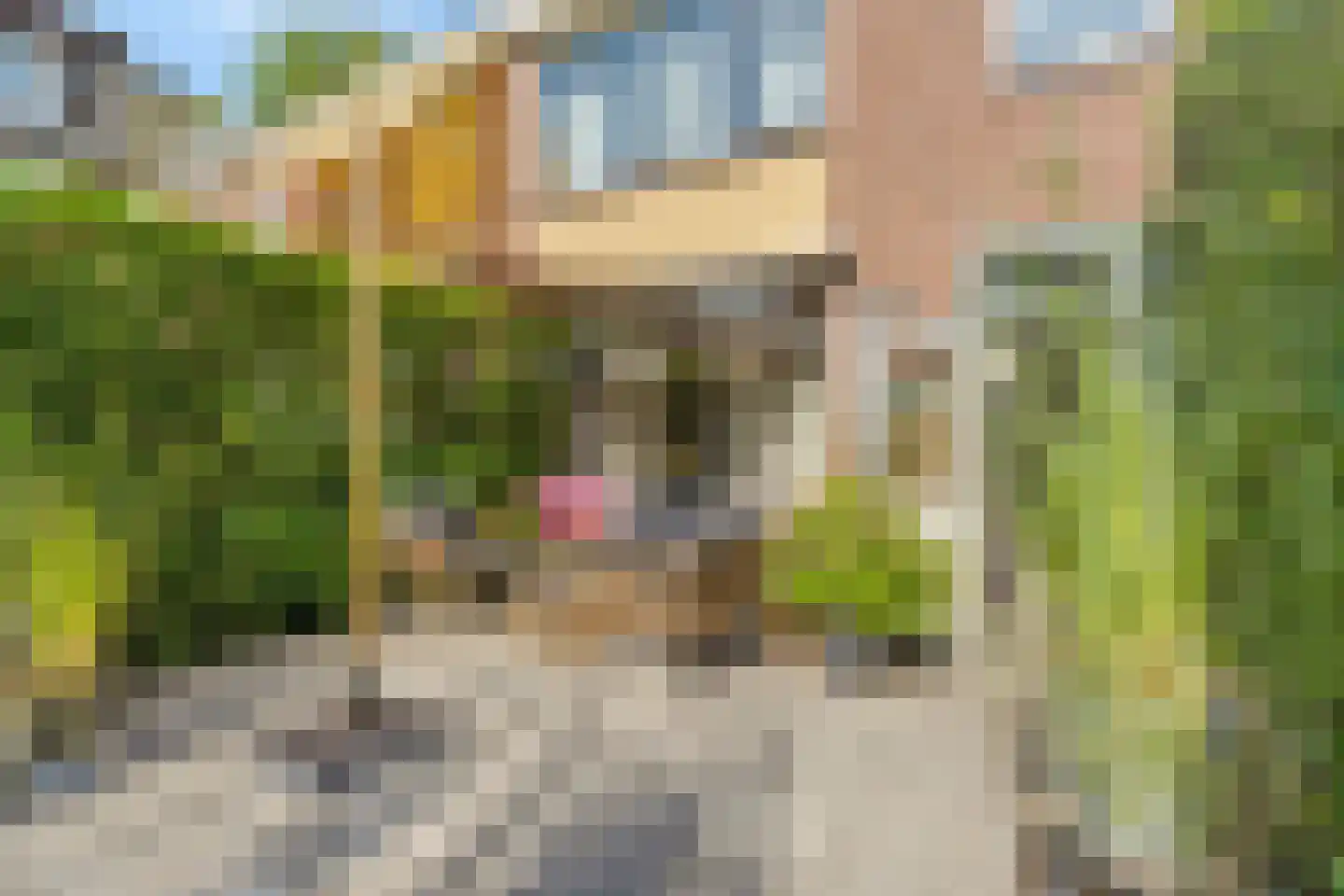 Tollensstraat 20 Zoetermeer thumbnail 18