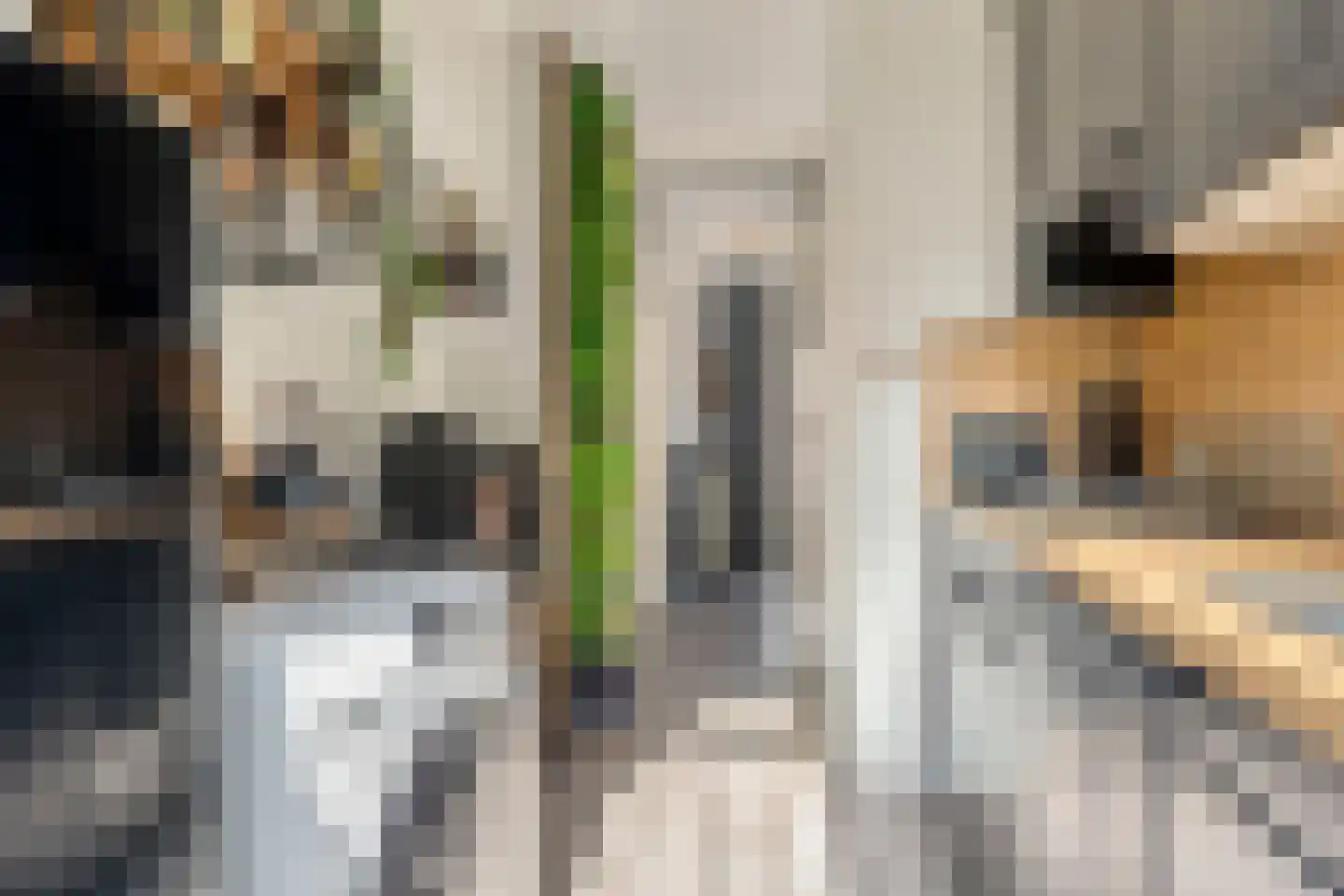 Tollensstraat 20 Zoetermeer thumbnail 19