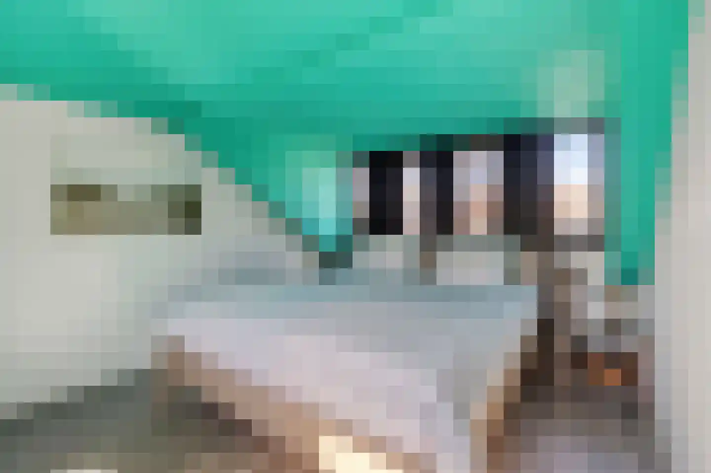 Tollensstraat 20 Zoetermeer thumbnail 32