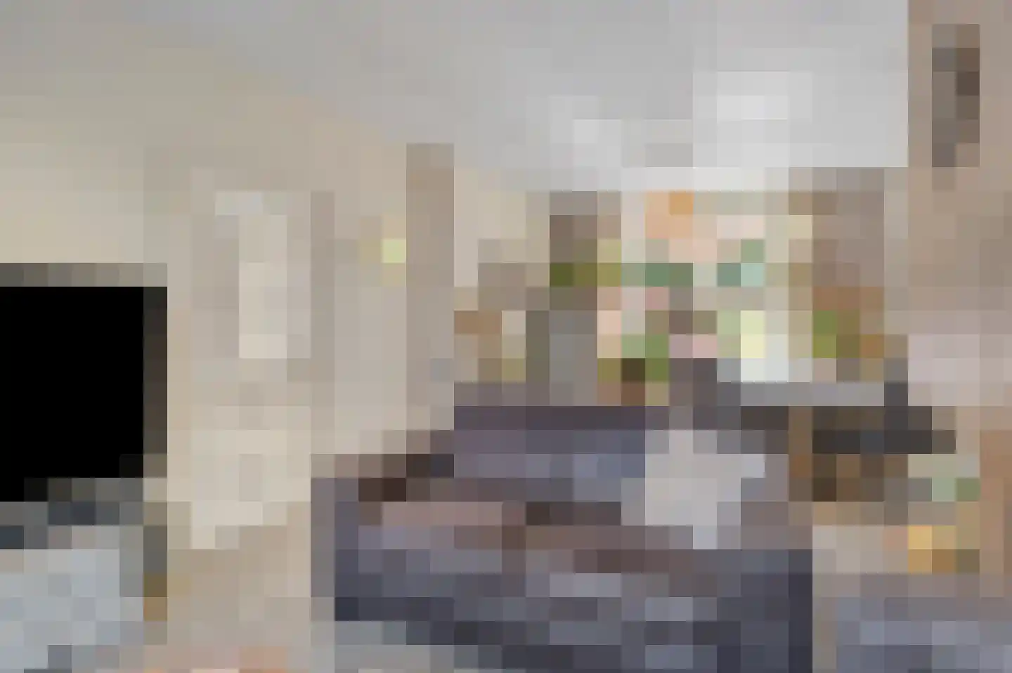 Tollensstraat 20 Zoetermeer thumbnail 7