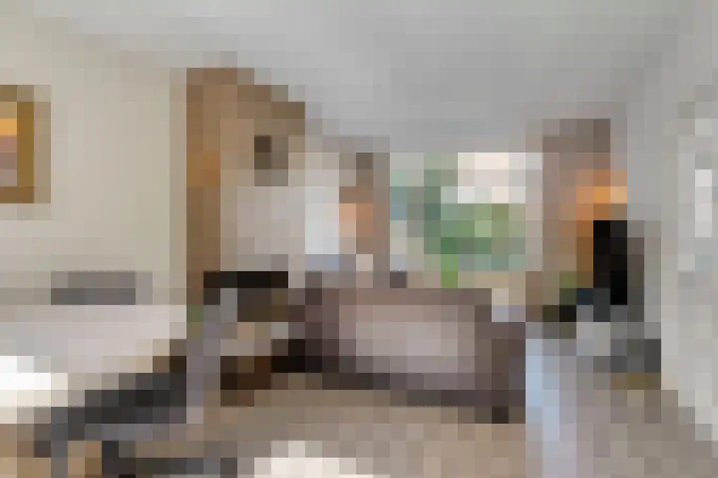 Tollensstraat 20 Zoetermeer thumbnail 9