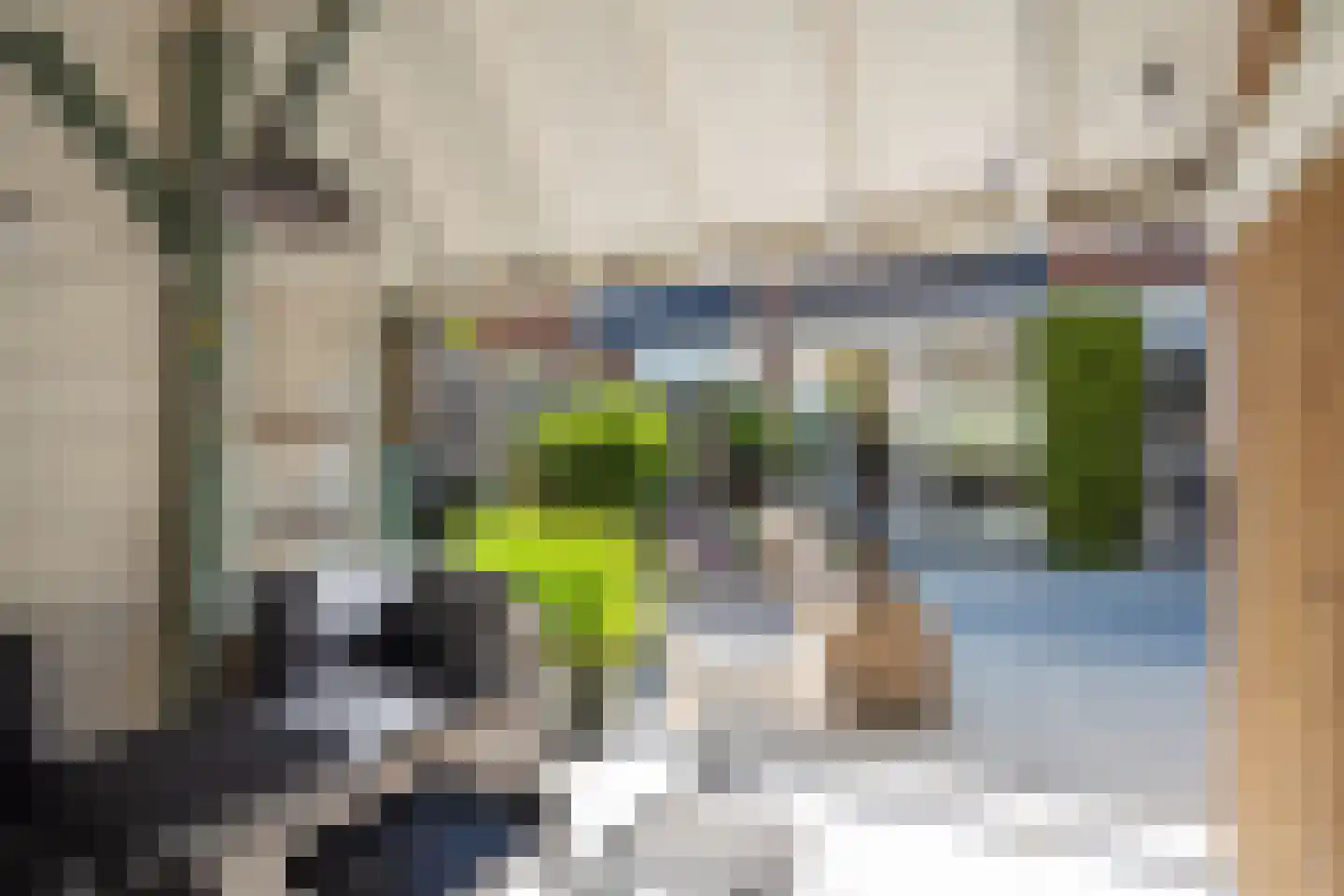 Tollensstraat 22 Papendrecht thumbnail 30