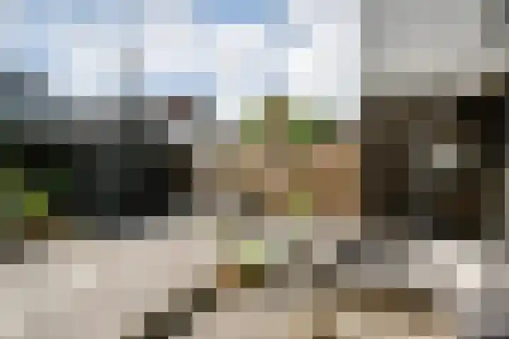 Tollensstraat 24 Vlaardingen thumbnail 24