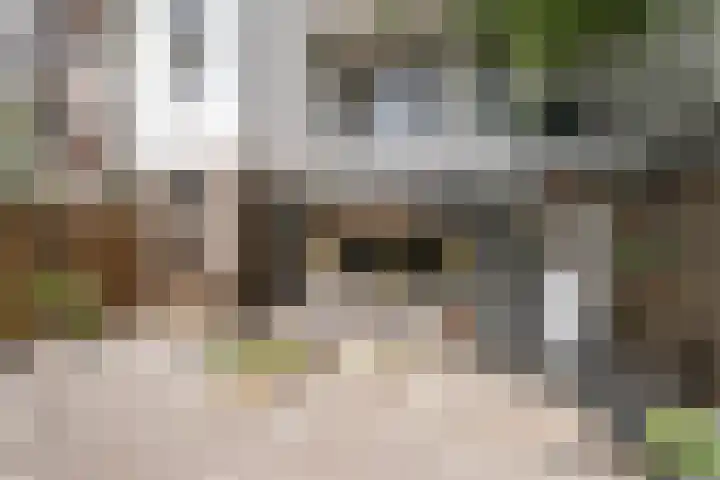 Tollensstraat 24 Vlaardingen thumbnail 4