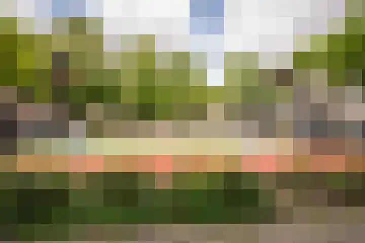 Tollensstraat 24 Vlaardingen thumbnail 6