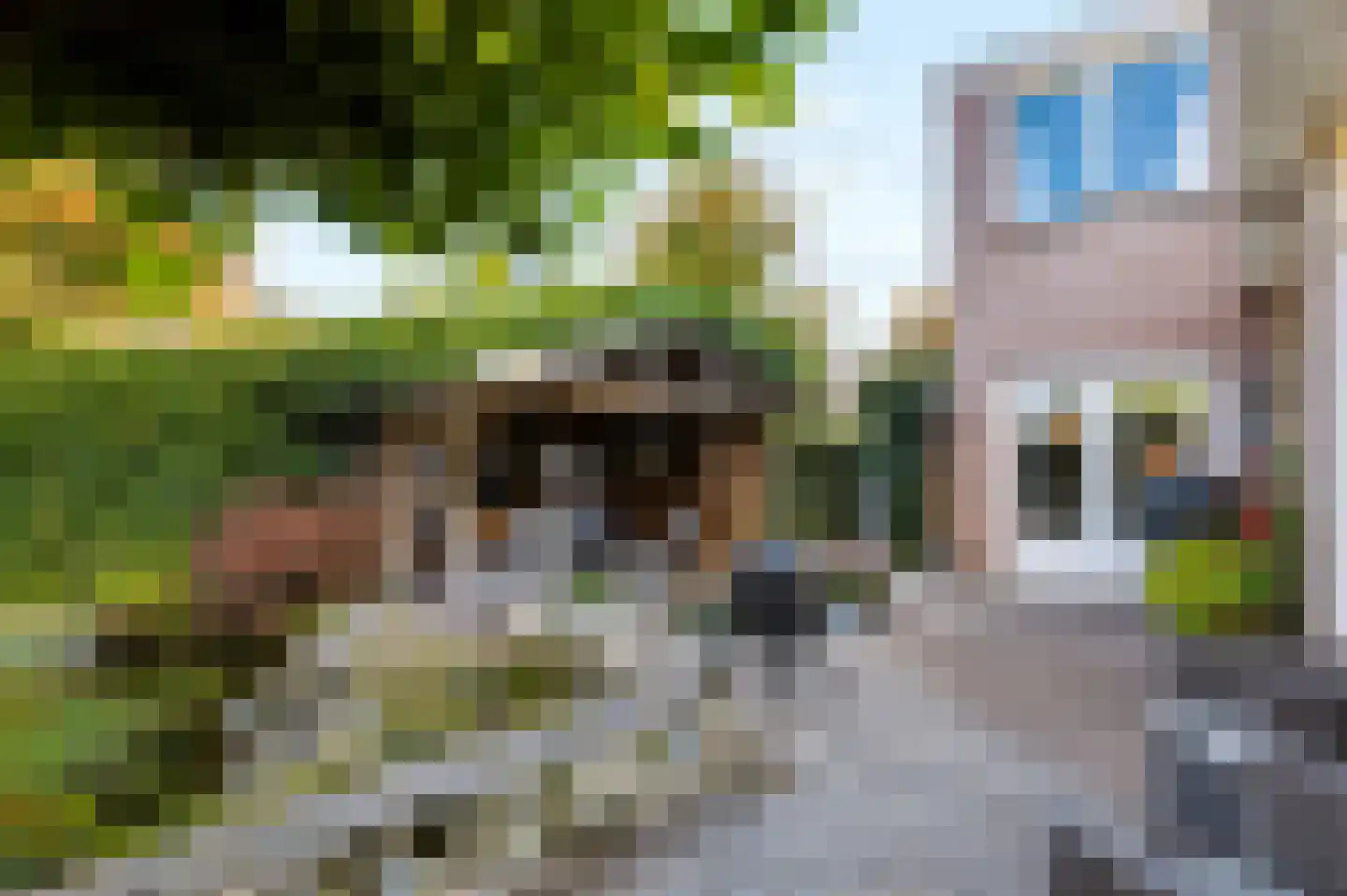 Tollensstraat 26 Nijverdal thumbnail 27