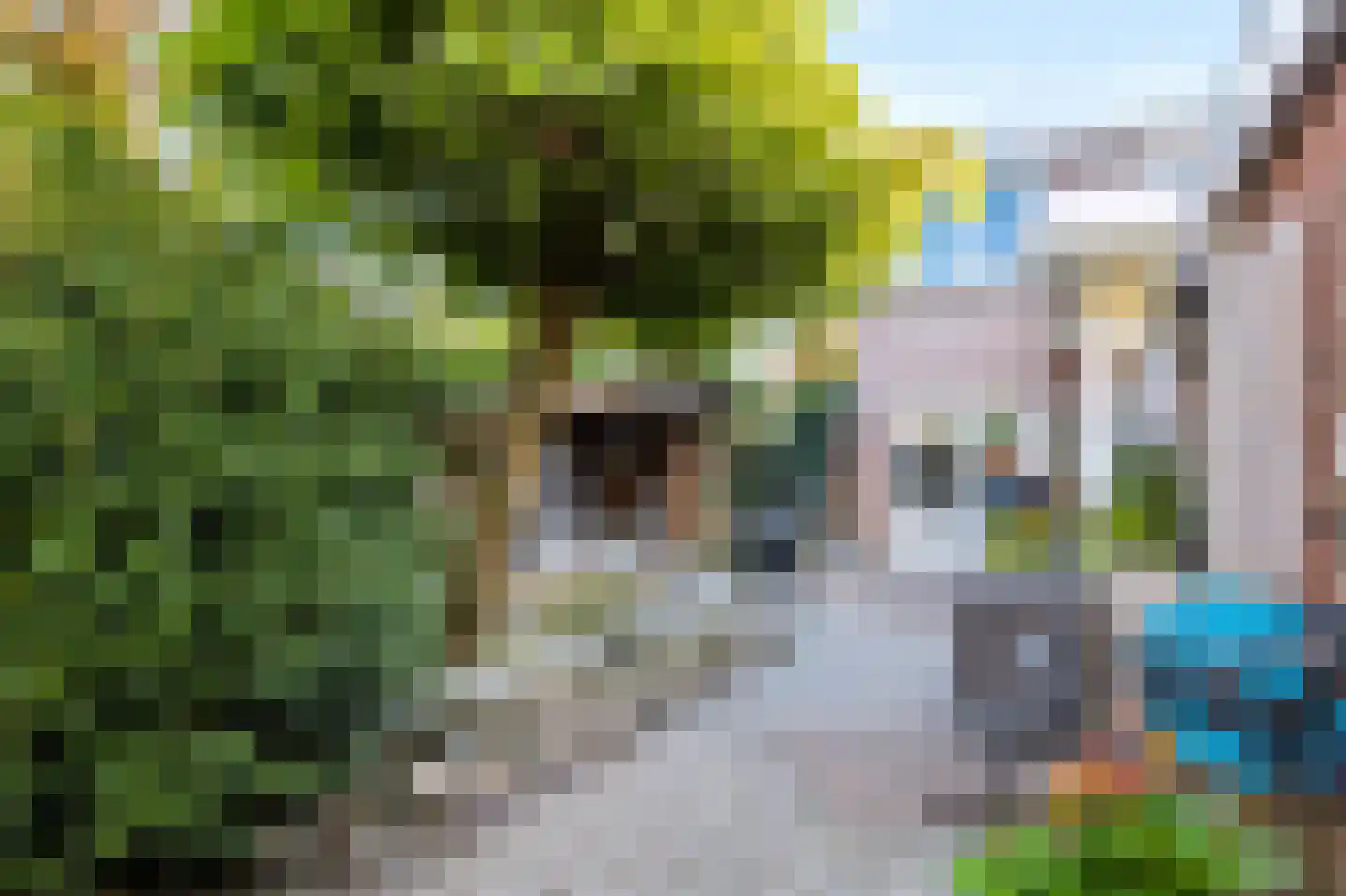 Tollensstraat 26 Nijverdal thumbnail 35