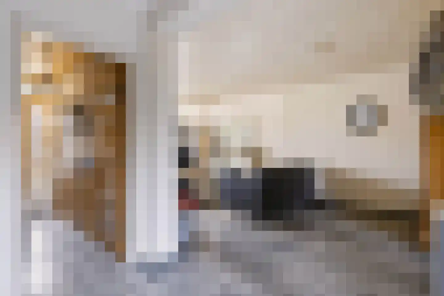 Tollensstraat 26 Nijverdal thumbnail 8