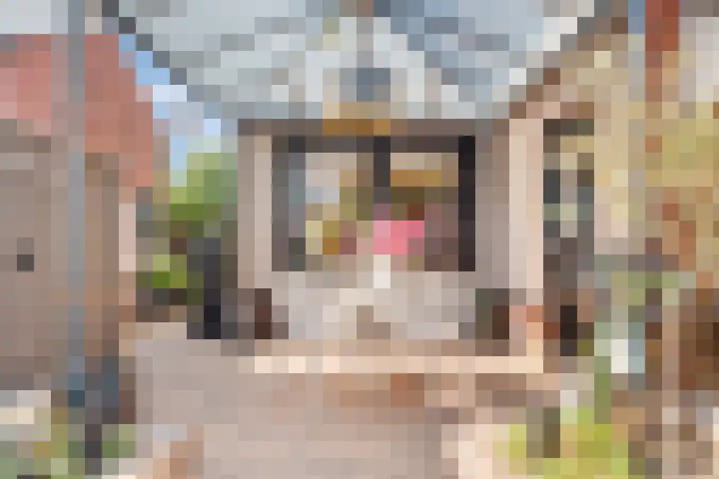 Tollensstraat 27 Nijverdal thumbnail 30
