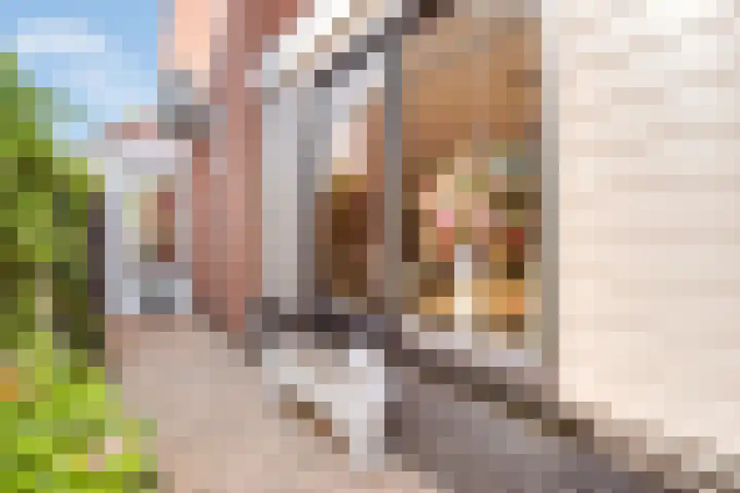 Tollensstraat 27 Nijverdal thumbnail 35