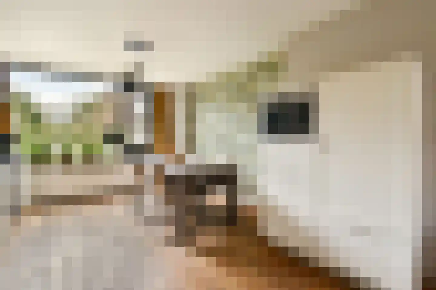 Tollensstraat 3 Spijkenisse thumbnail 10