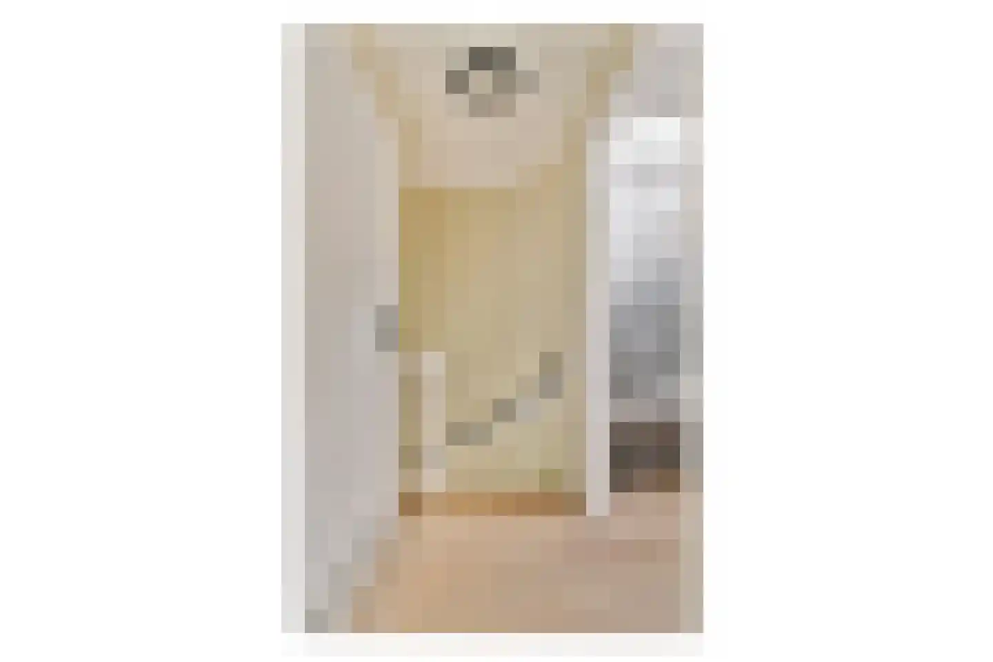 Tollensstraat 3 Spijkenisse thumbnail 11