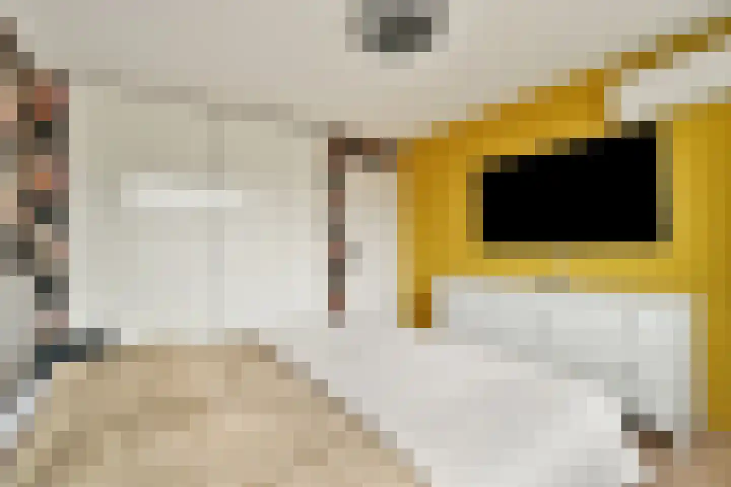 Tollensstraat 3 Spijkenisse thumbnail 13