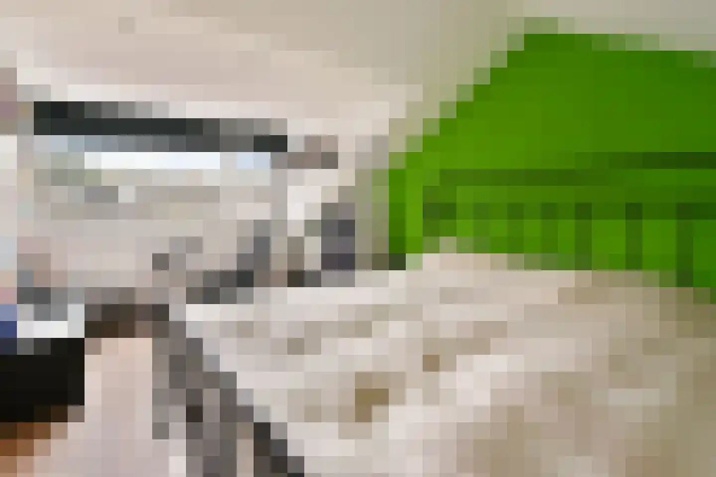 Tollensstraat 3 Spijkenisse thumbnail 20