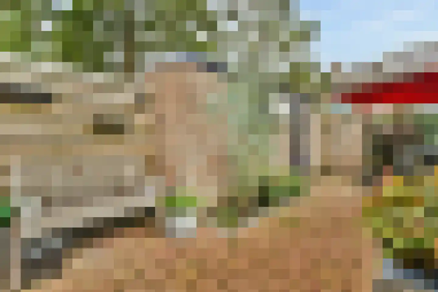 Tollensstraat 3 Spijkenisse thumbnail 23