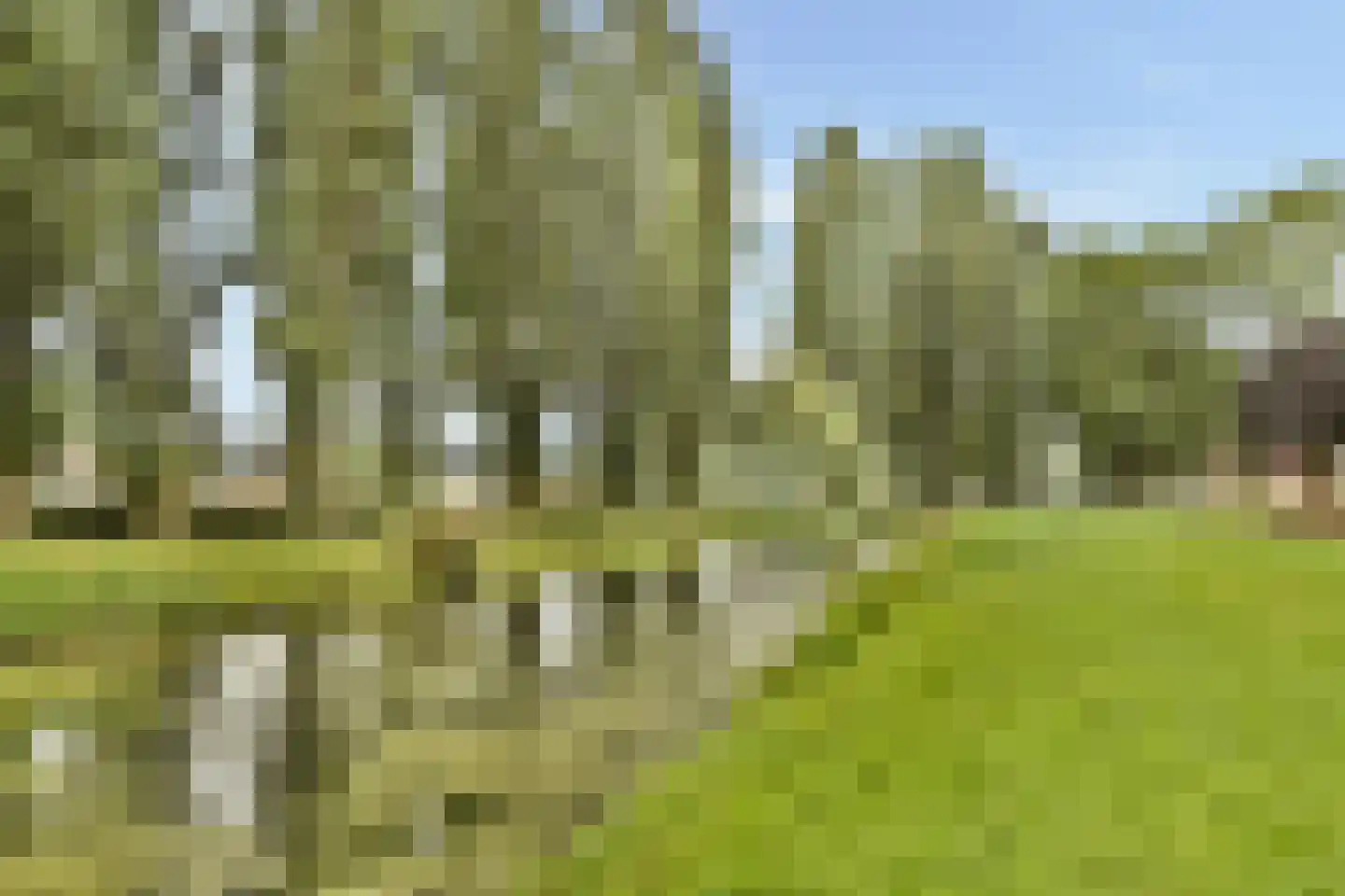 Tollensstraat 3 Spijkenisse thumbnail 27