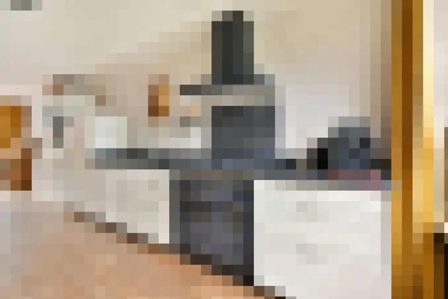 Tollensstraat 3 Spijkenisse thumbnail 4