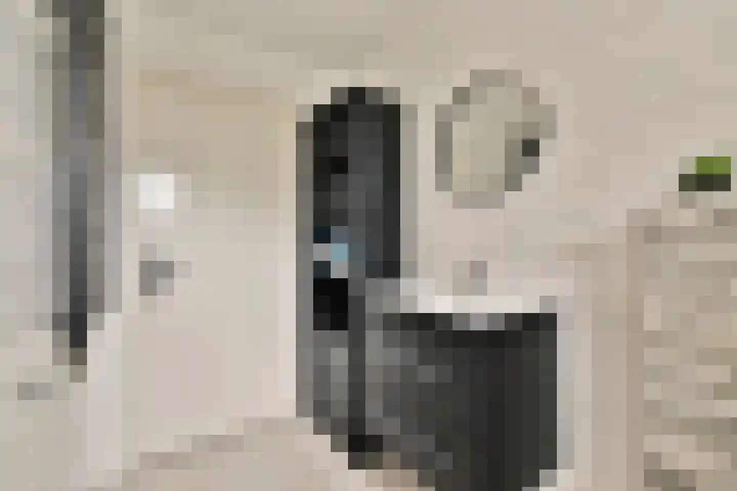 Tollensstraat 3 Spijkenisse thumbnail 5
