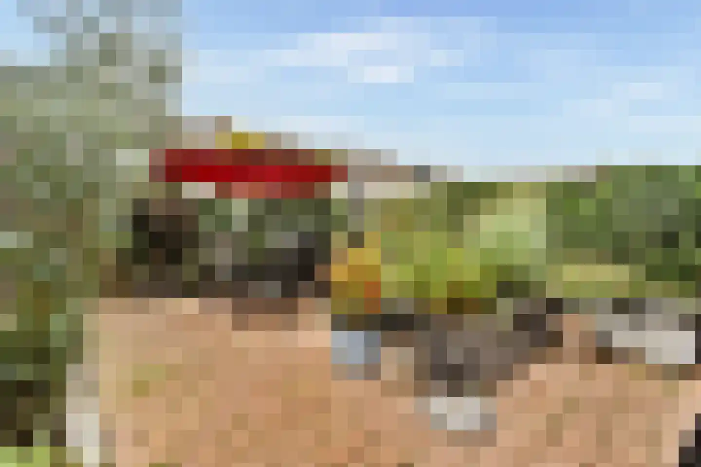 Tollensstraat 3 Spijkenisse thumbnail 6