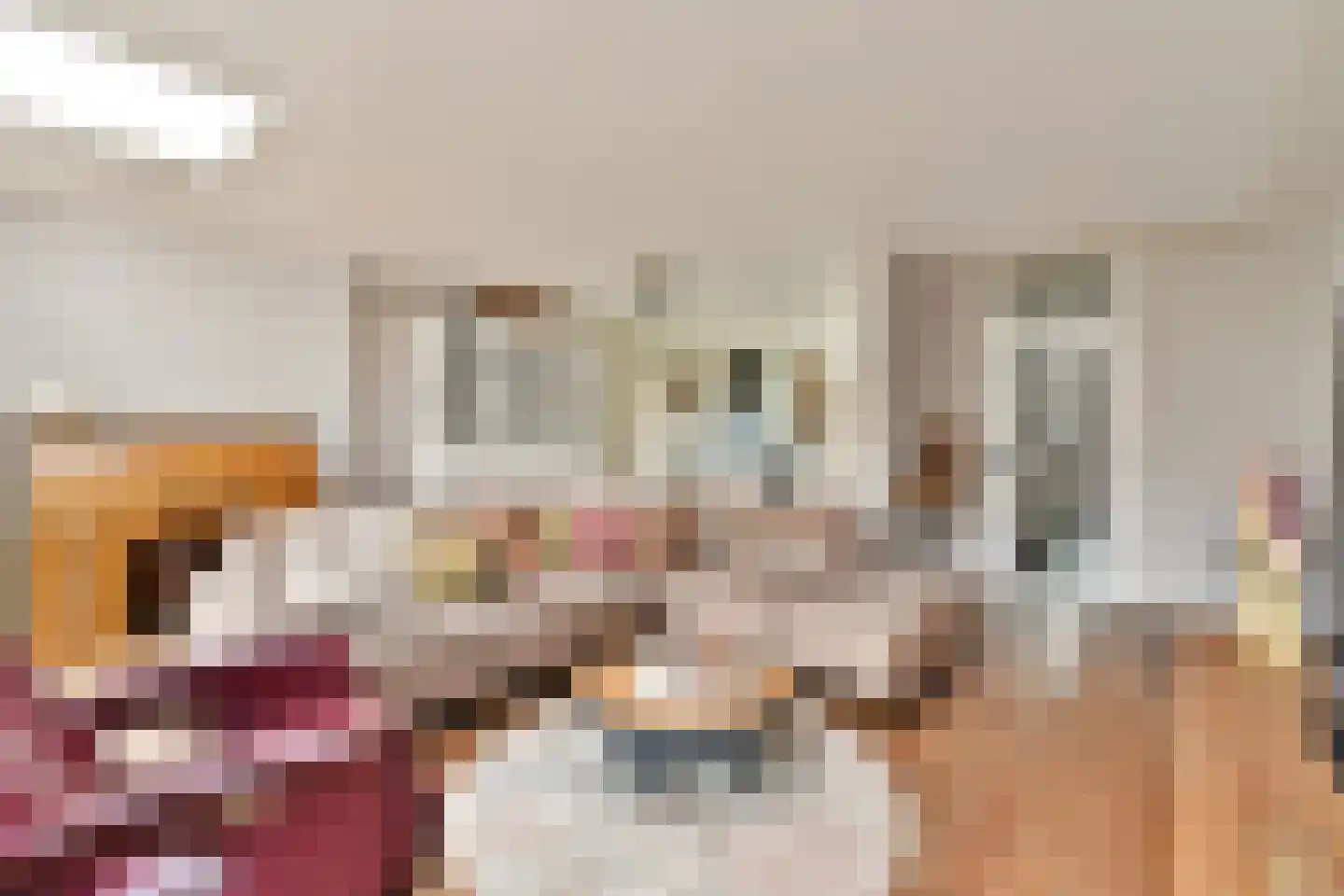 Tollensstraat 3 Spijkenisse thumbnail 8