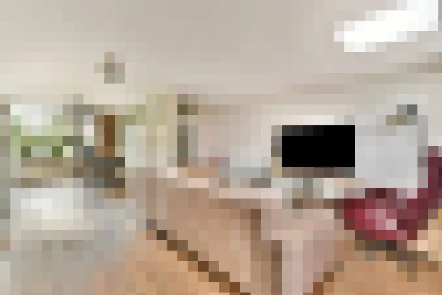 Tollensstraat 3 Spijkenisse thumbnail 9