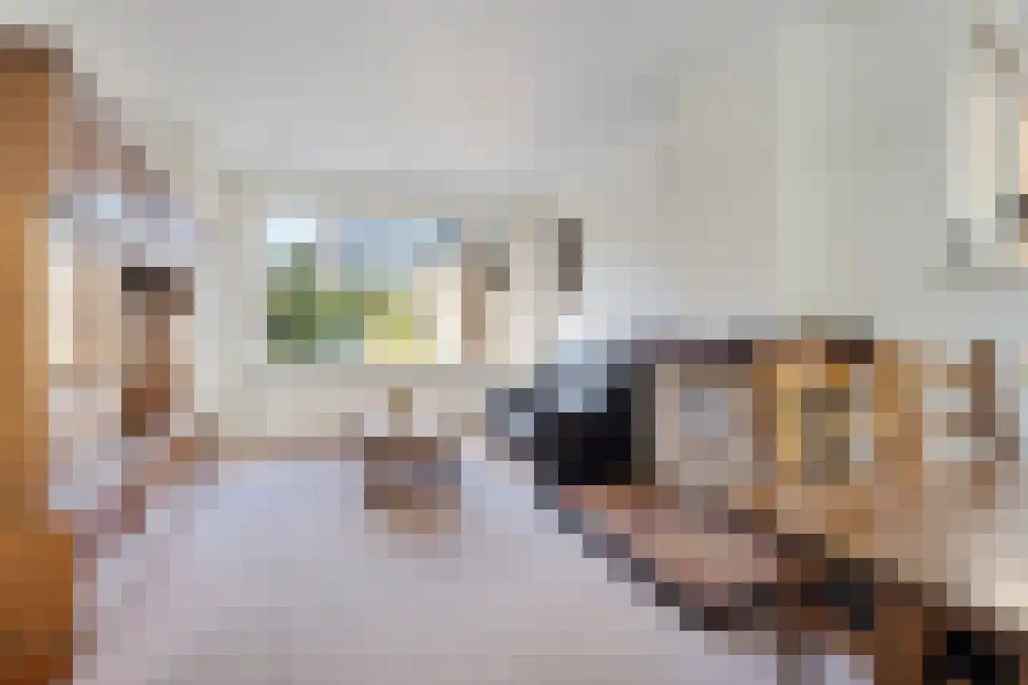 Tollensstraat 33 Zoetermeer thumbnail 17