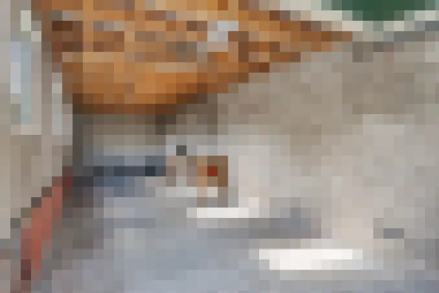 Tollensstraat 33 Zoetermeer thumbnail 33