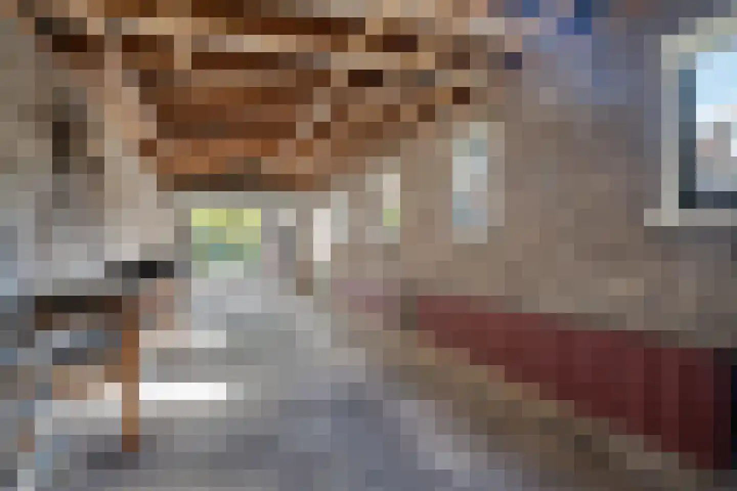 Tollensstraat 33 Zoetermeer thumbnail 34
