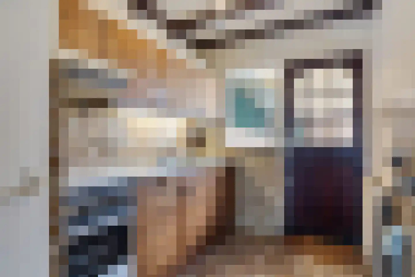 Tollensstraat 33 Zoetermeer thumbnail 6