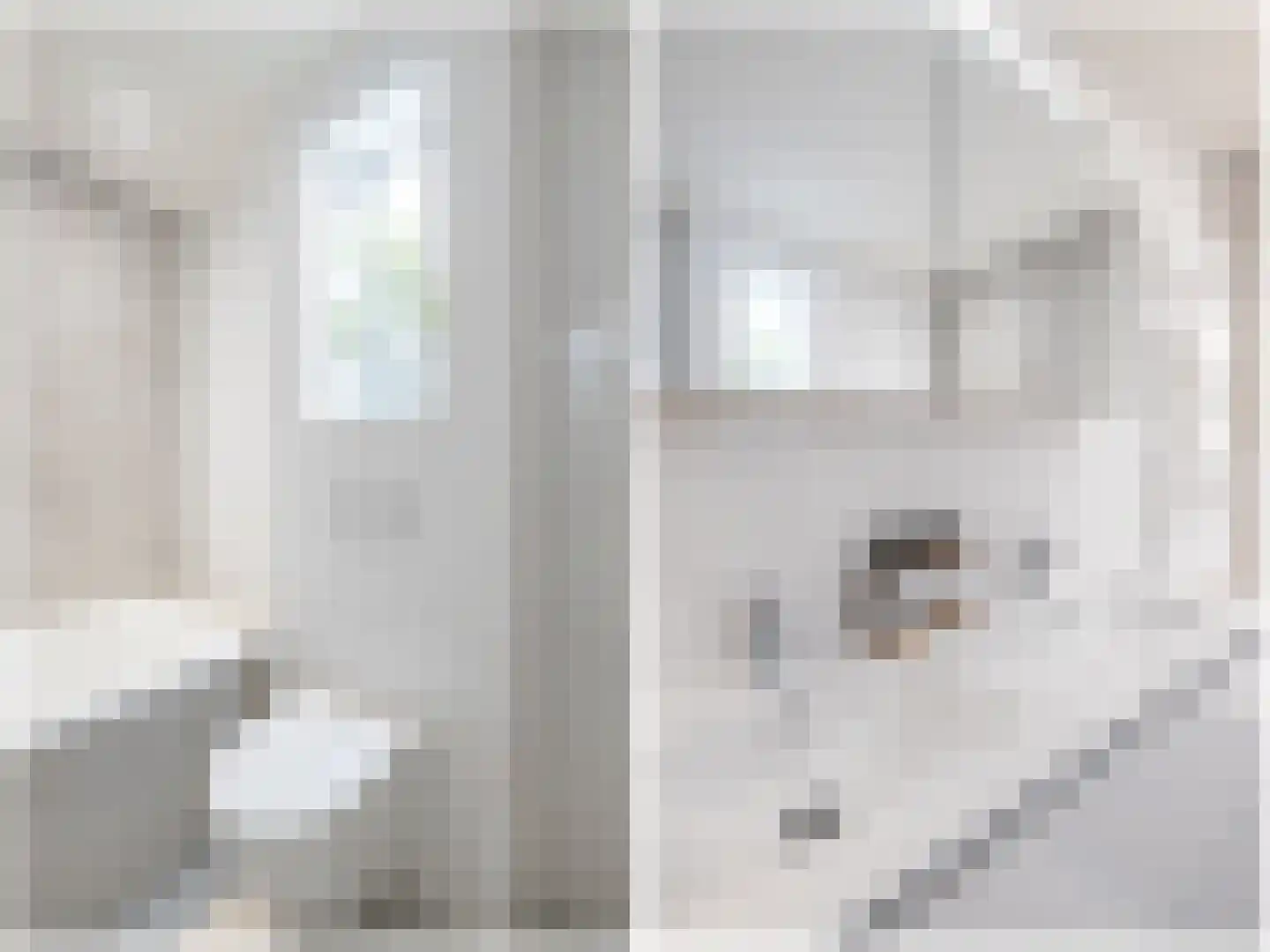 Tollensstraat 41 B Rotterdam thumbnail 17