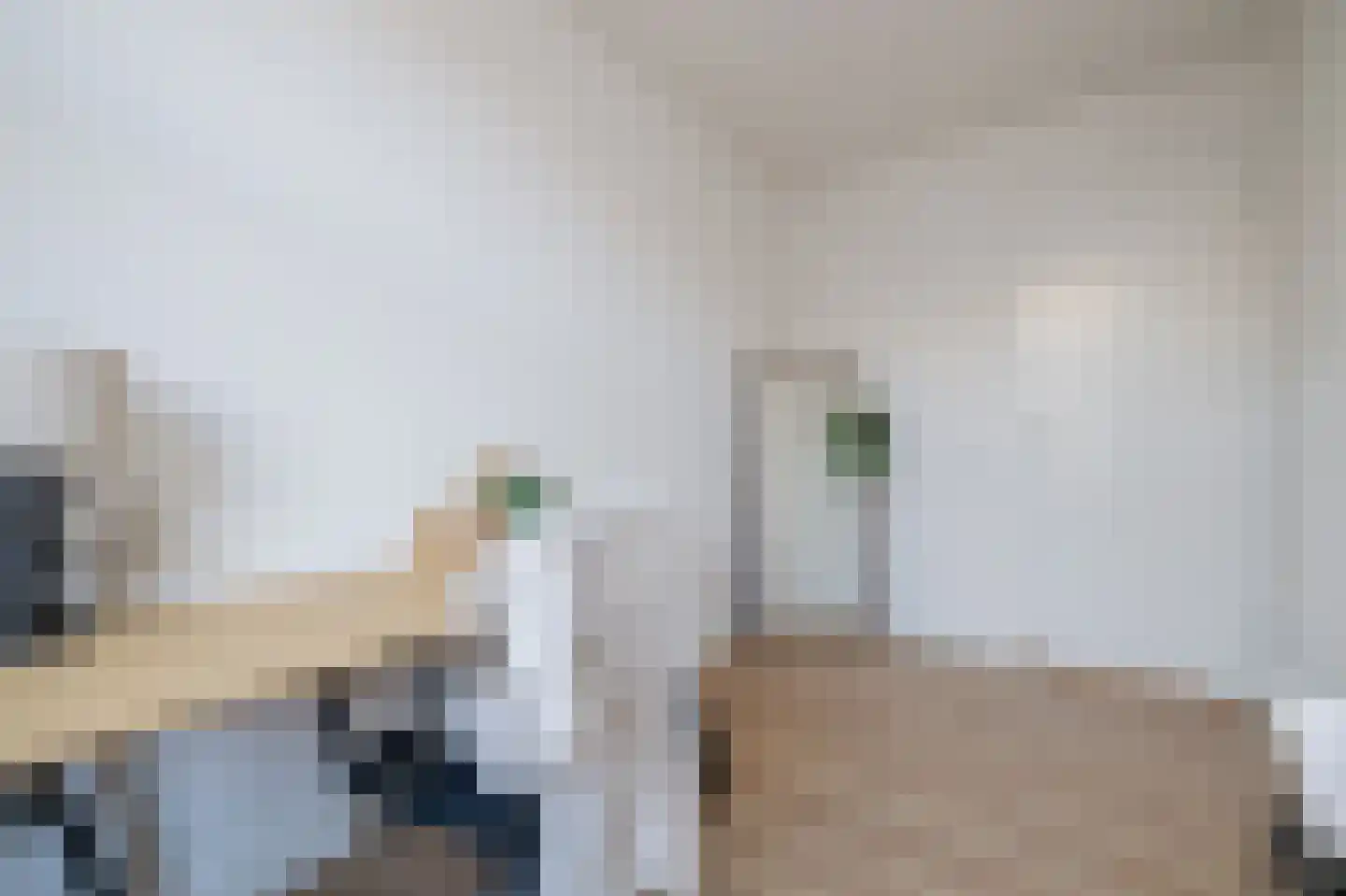 Tollensstraat 41 B Rotterdam thumbnail 27