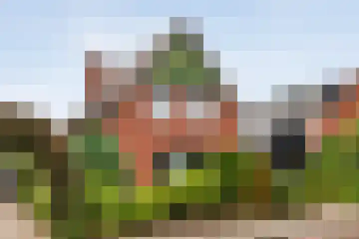 Tollensstraat 43 Nijverdal thumbnail 5