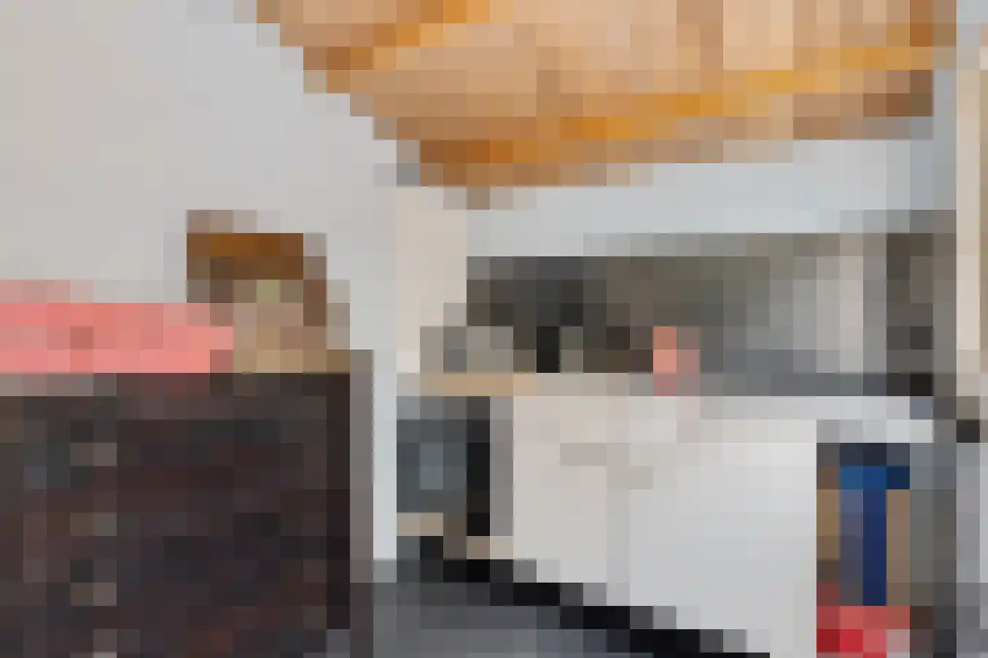 Tollensstraat 43 Oss thumbnail 36