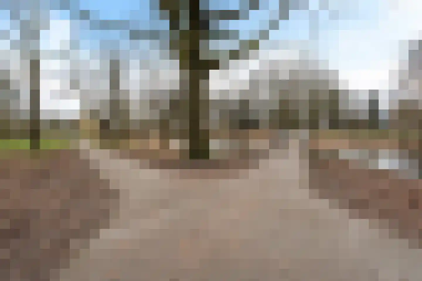 Tollensstraat 43 Oss thumbnail 44