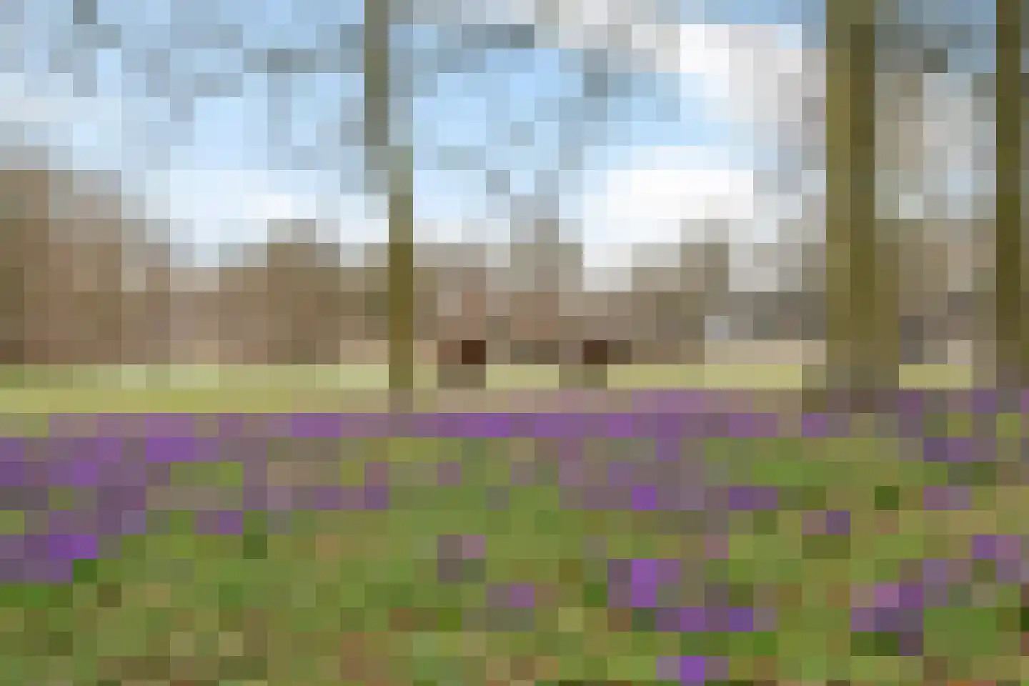 Tollensstraat 43 Oss thumbnail 47