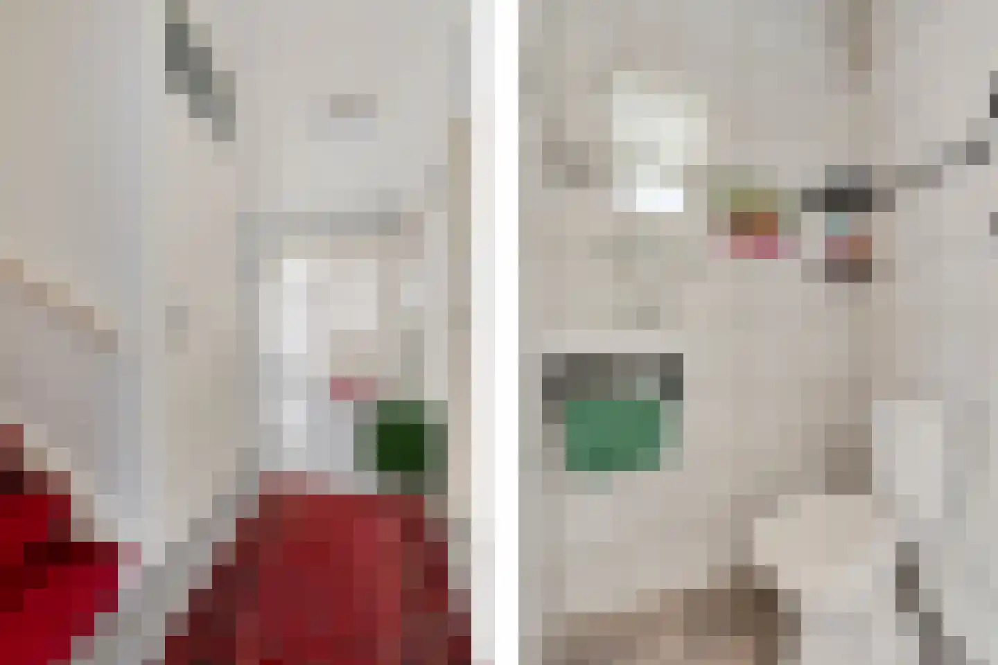 Tollensstraat 43 Oss thumbnail 6