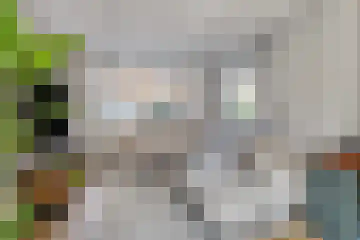 Tollensstraat 5 Hoogezand thumbnail 12