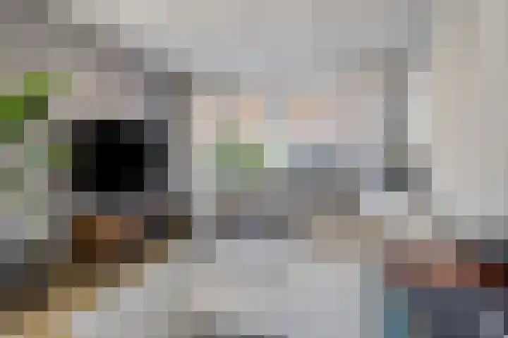 Tollensstraat 5 Hoogezand thumbnail 13