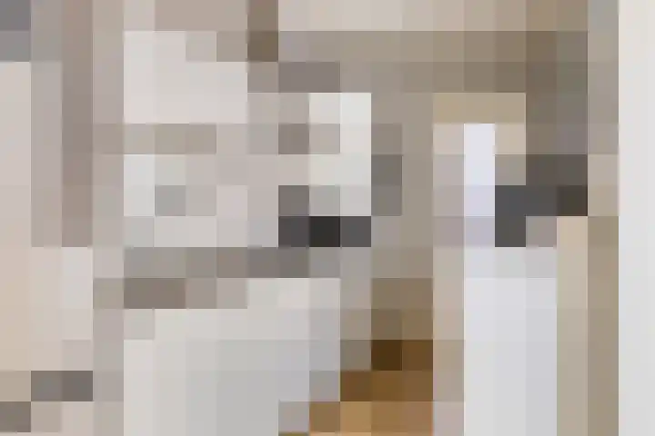 Tollensstraat 5 Hoogezand thumbnail 17