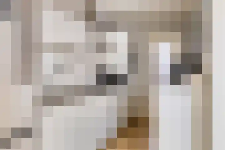 Tollensstraat 5 Hoogezand thumbnail 4