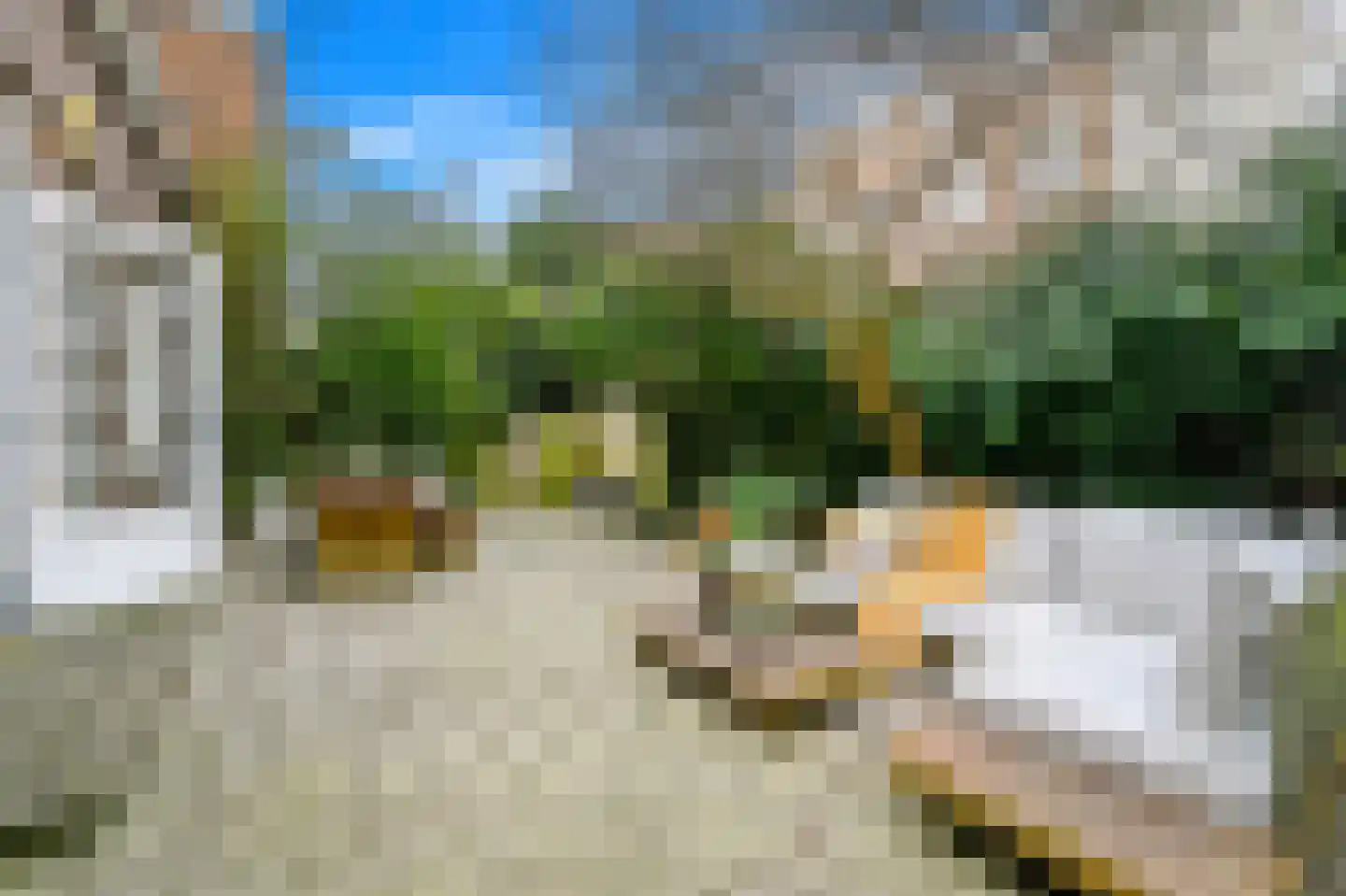 Tollensstraat 53 Den Haag thumbnail 5
